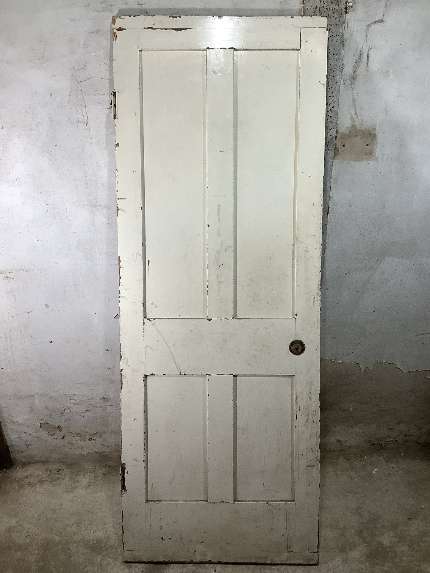 7th Pic Victorian Internal Painted Pine Reclaimed Door