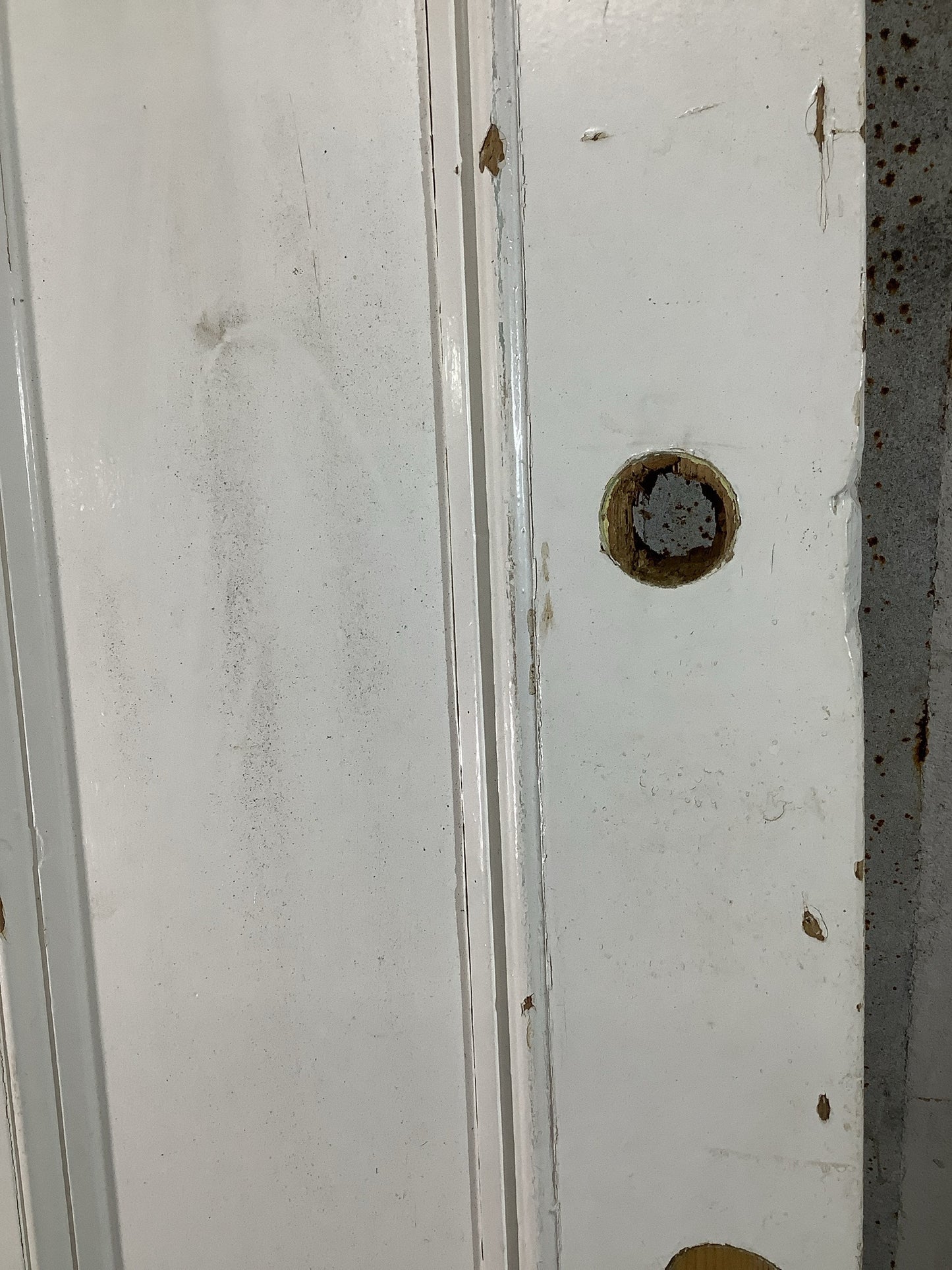 4th Pic Victorian Internal Painted Pine Reclaimed Door