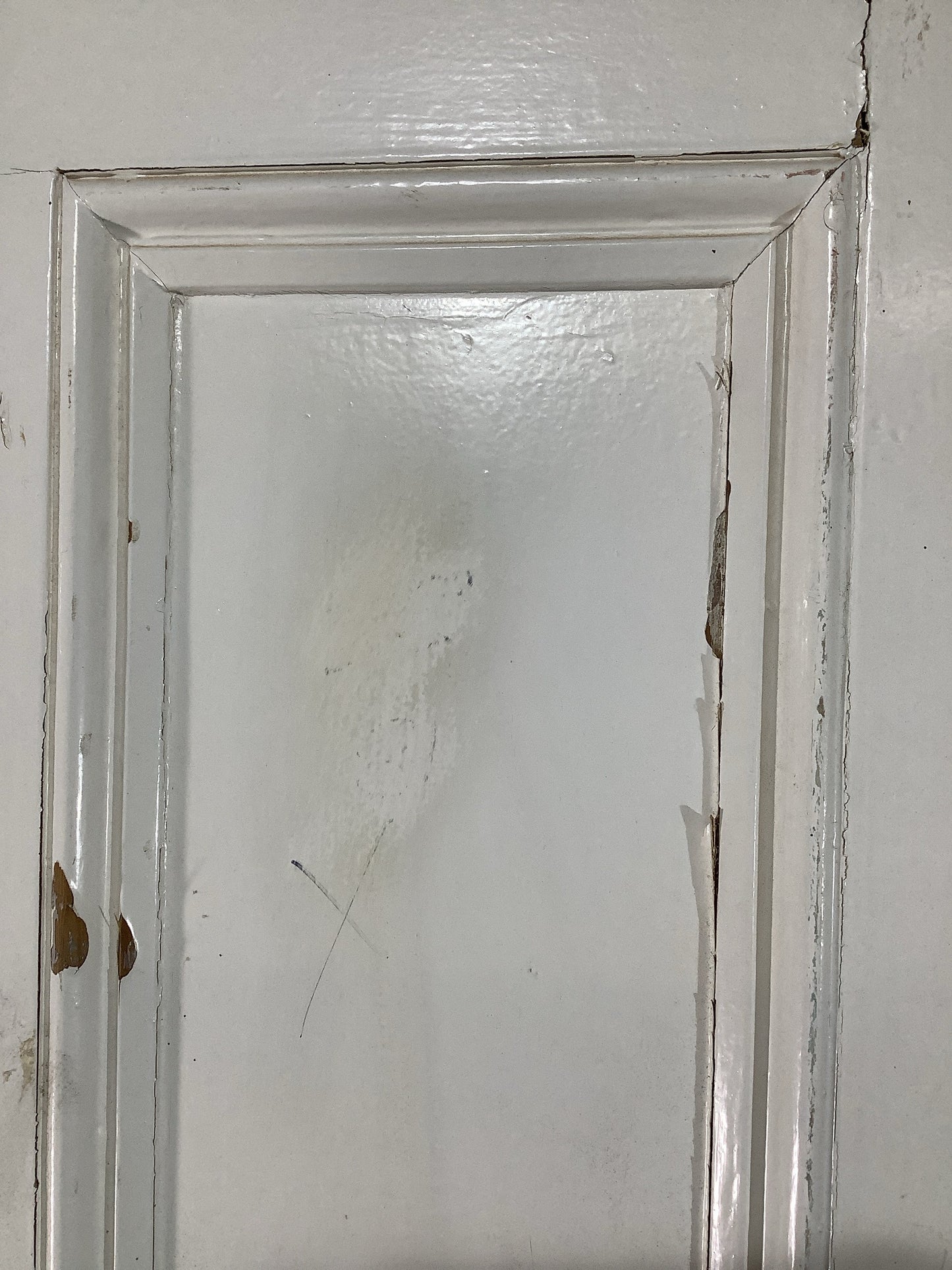 5th Pic Victorian Internal Painted Pine Reclaimed Door