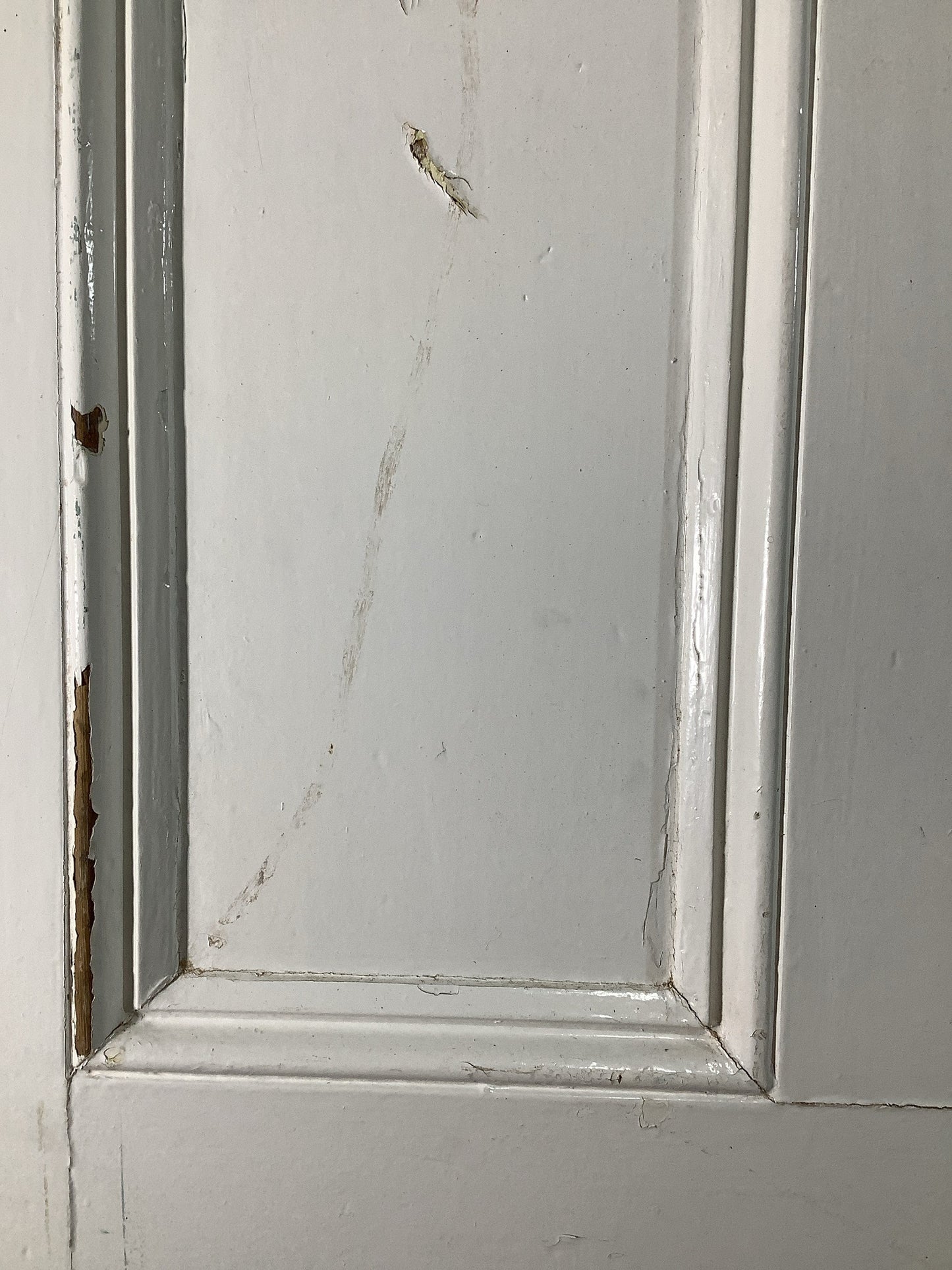 6th Pic Victorian Internal Painted Pine Reclaimed Door