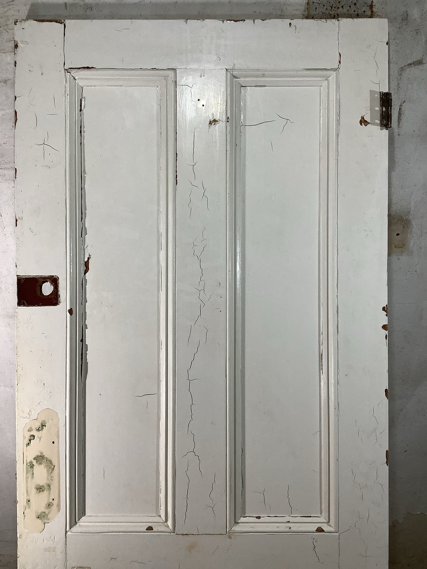 8th Pic Victorian Internal Painted Pine Reclaimed Door