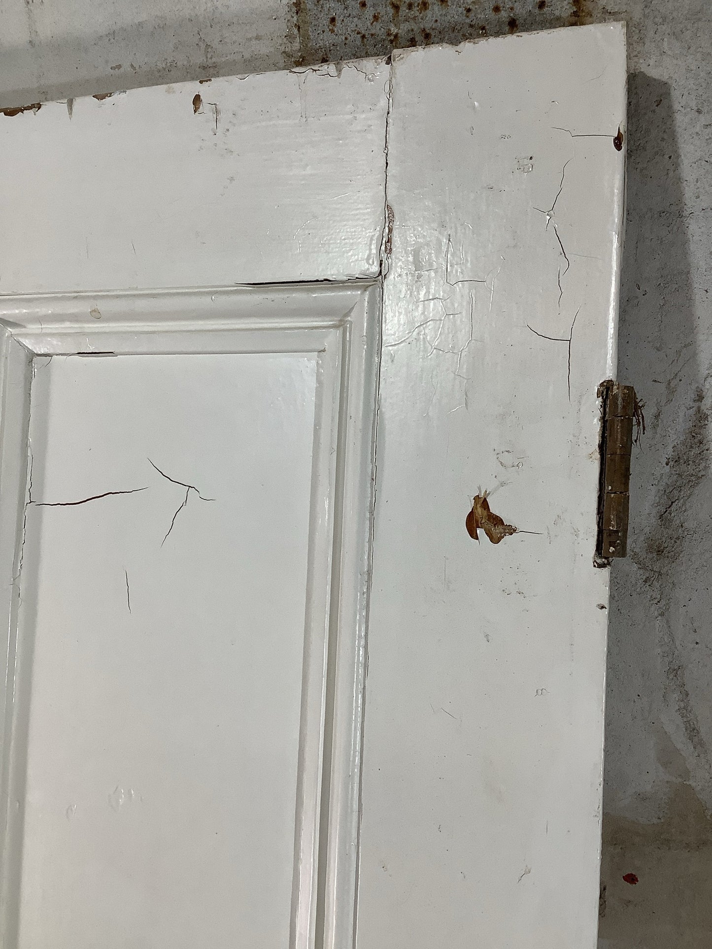 11th Pic Victorian Internal Painted Pine Reclaimed Door