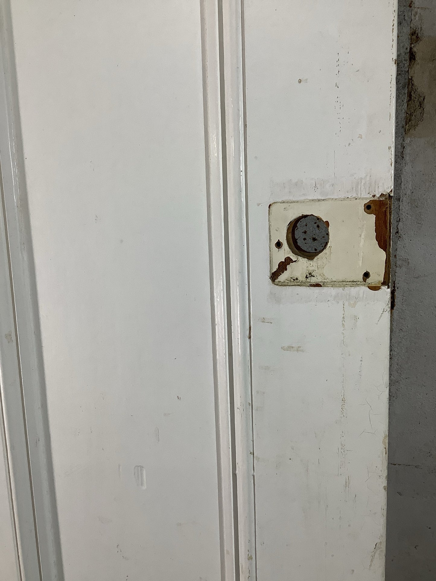 4th Pic Victorian Internal Painted Pine Reclaimed Door