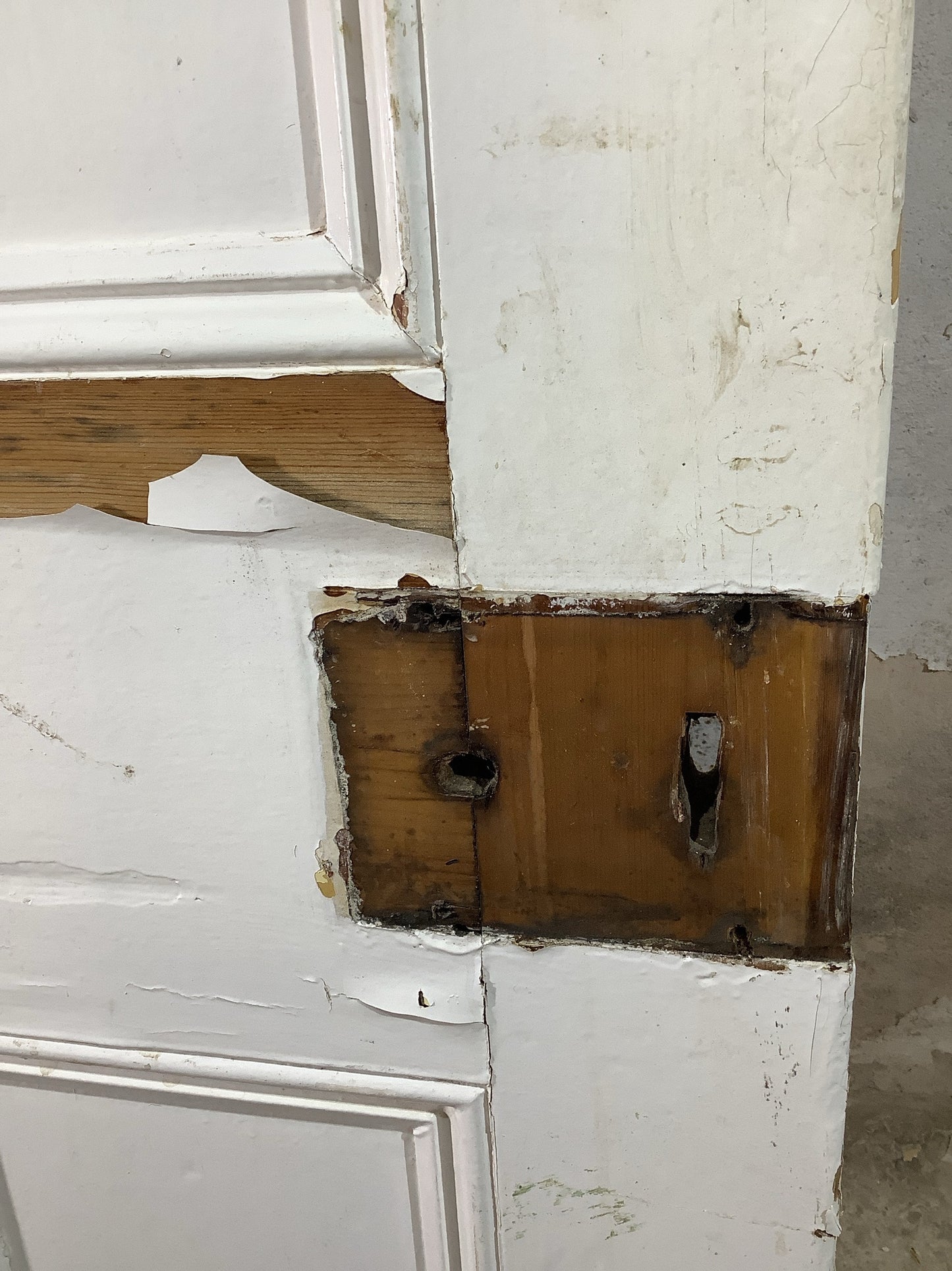 6th Pic Victorian Internal Painted Pine Reclaimed Door