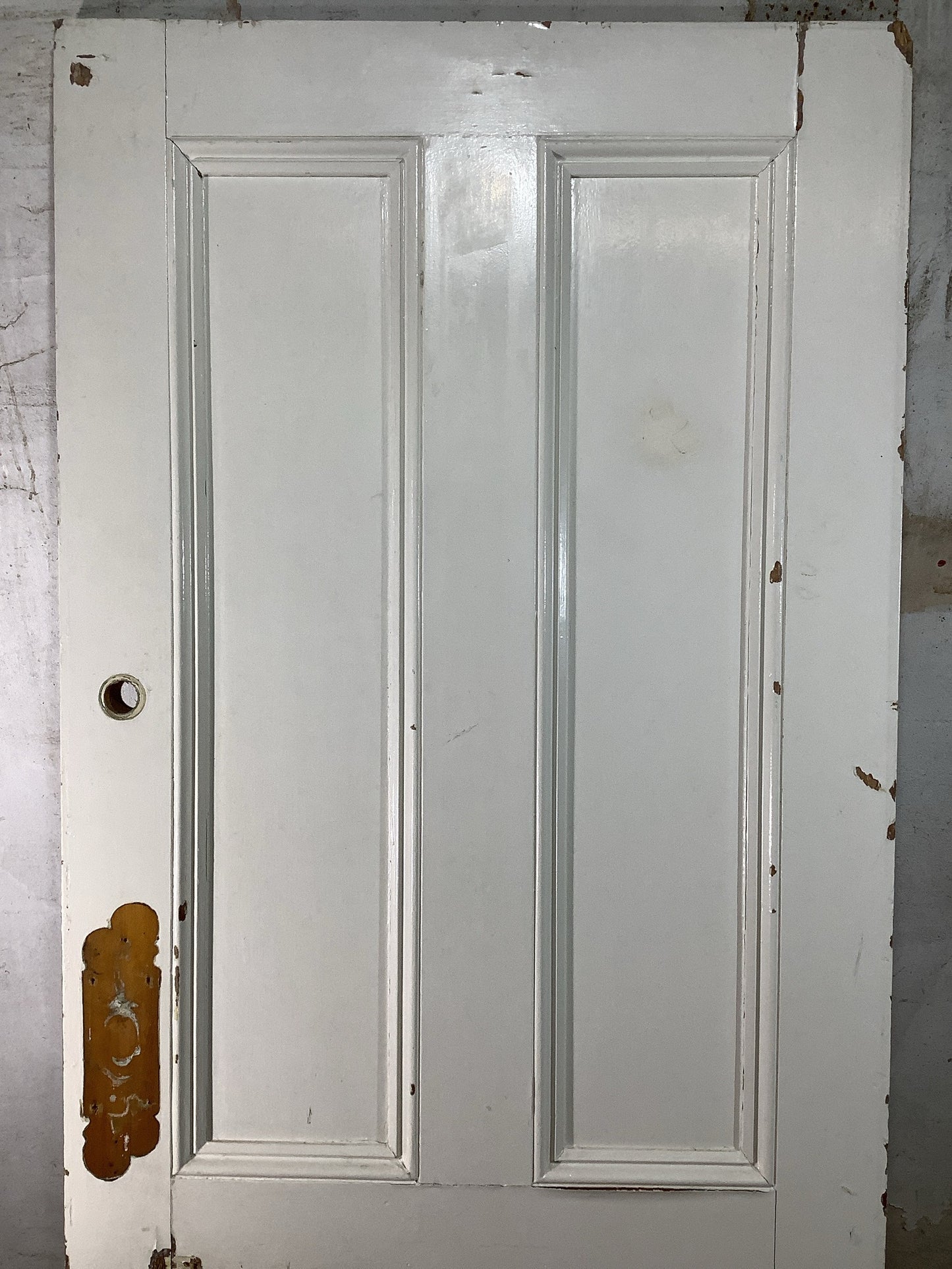8th Pic Victorian Internal Painted Pine Reclaimed Door