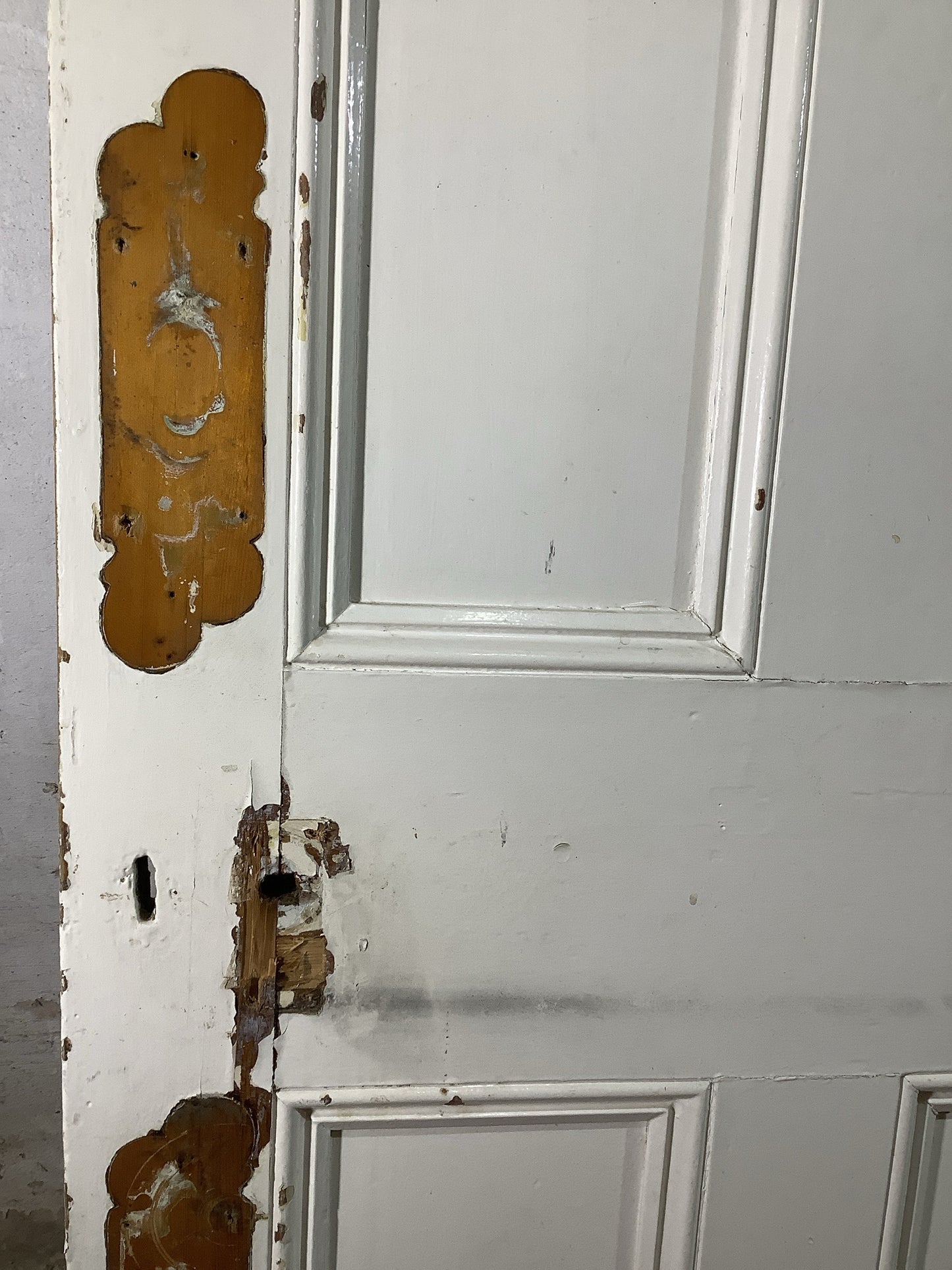 10th Pic Victorian Internal Painted Pine Reclaimed Door