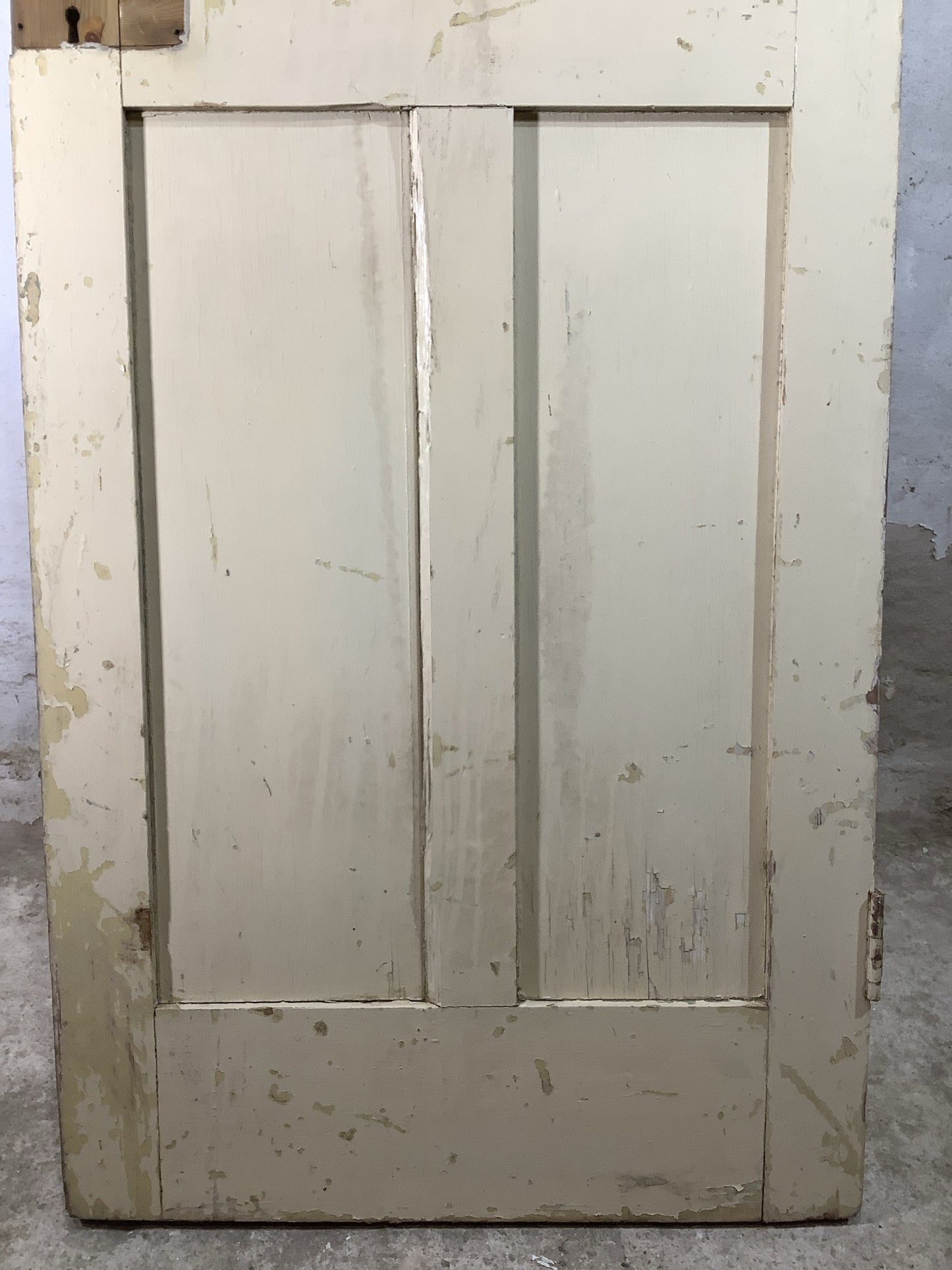 9th Pic Old Internal Painted Pine Reclaimed Door