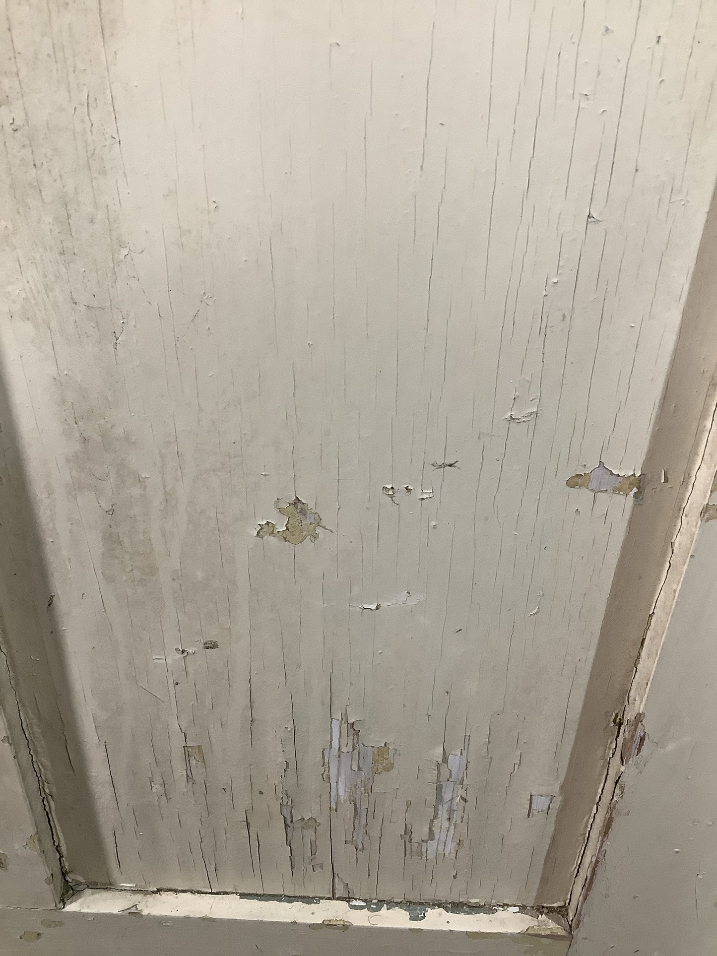 10th Pic Old Internal Painted Pine Reclaimed Door