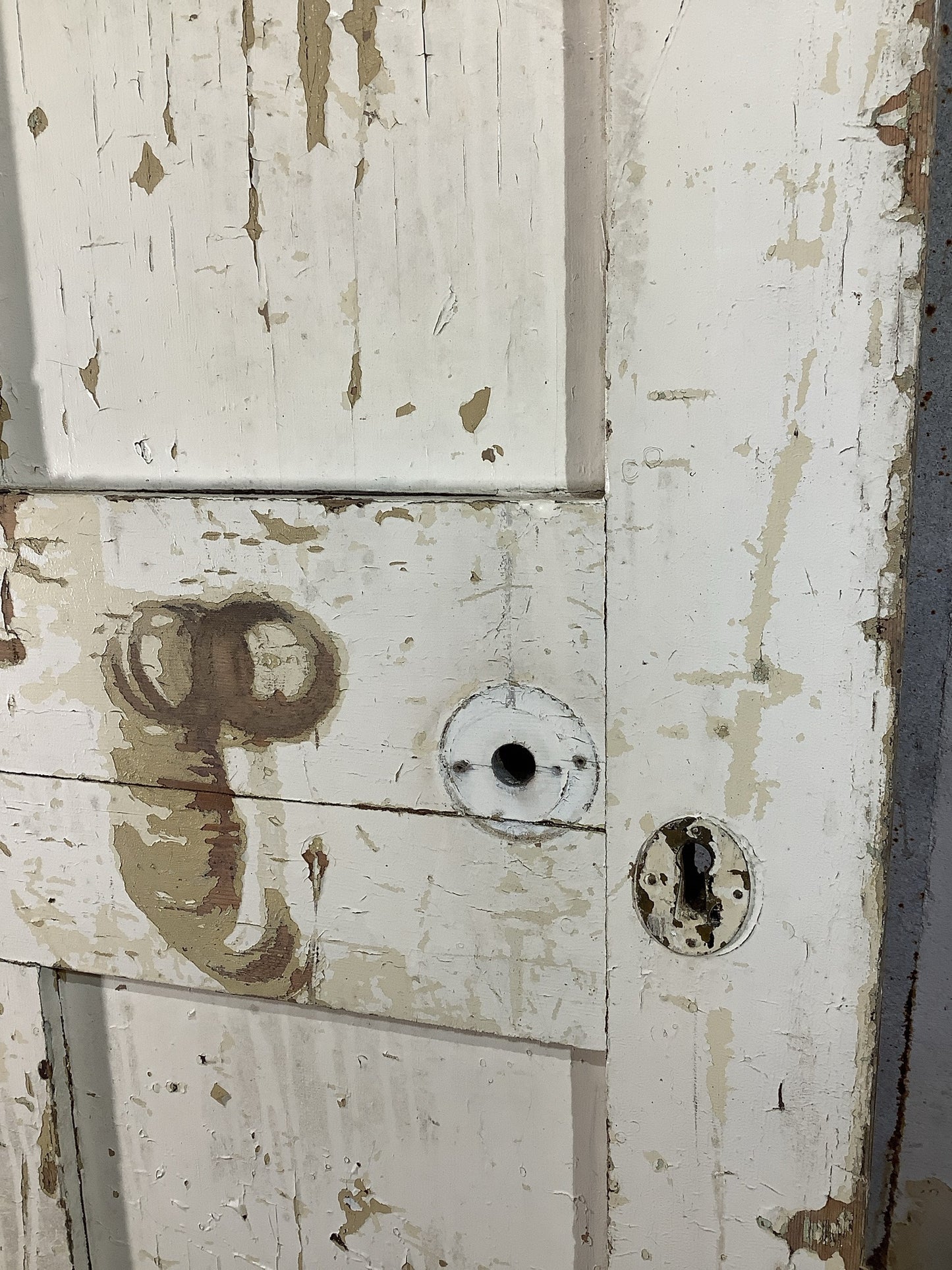 4th Pic Old Internal Painted Pine Reclaimed Door
