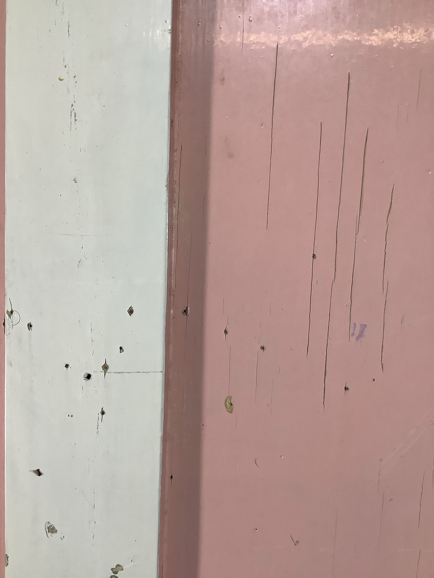 12th Pic Old Internal Painted Pine Reclaimed Door