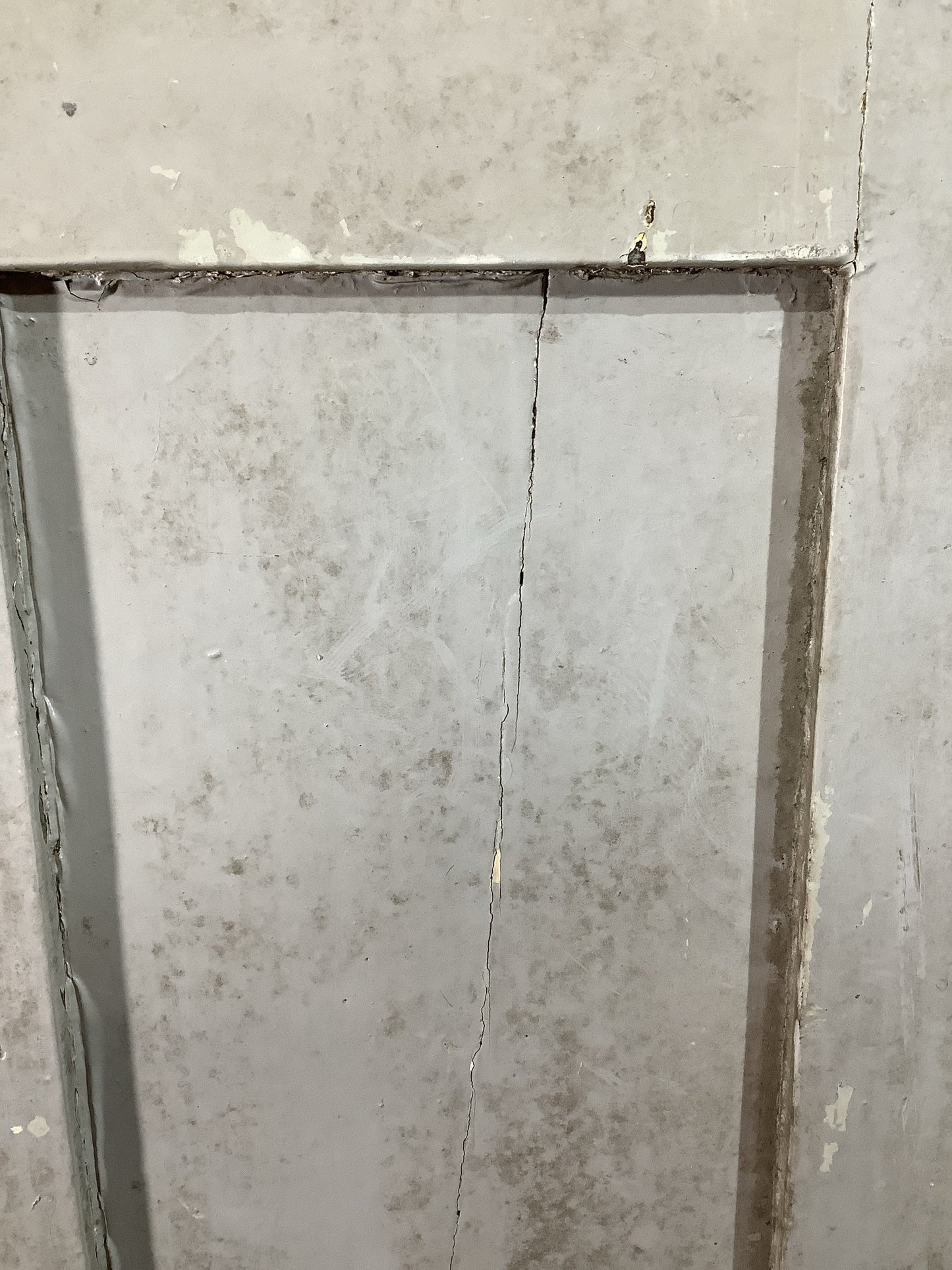 6th Pic Old Internal Painted Pine Reclaimed Door