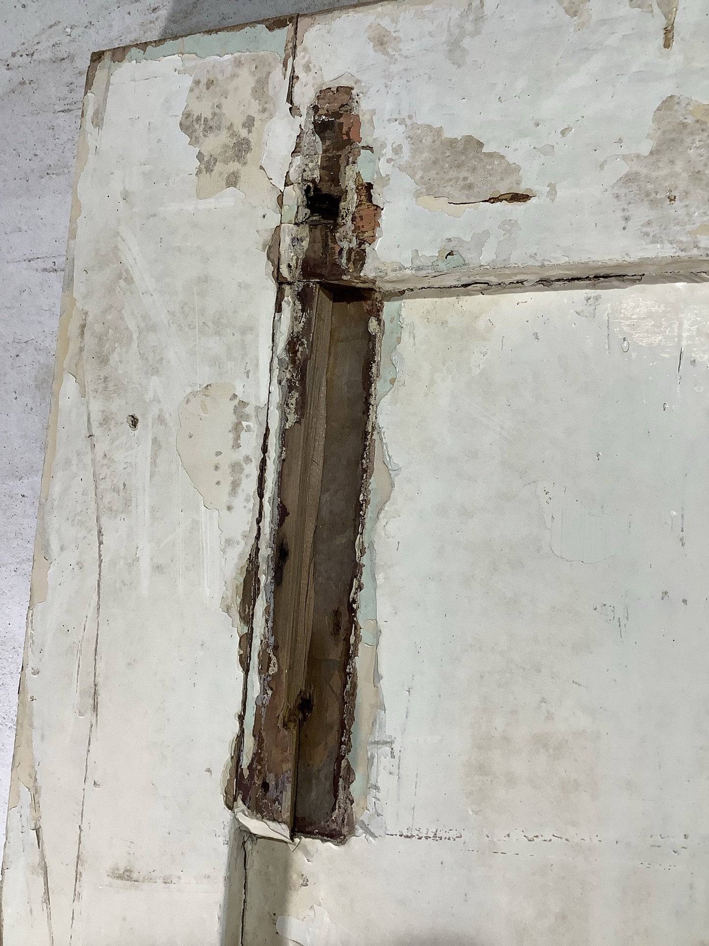 6th Pic Old Internal Painted Pine Reclaimed Door