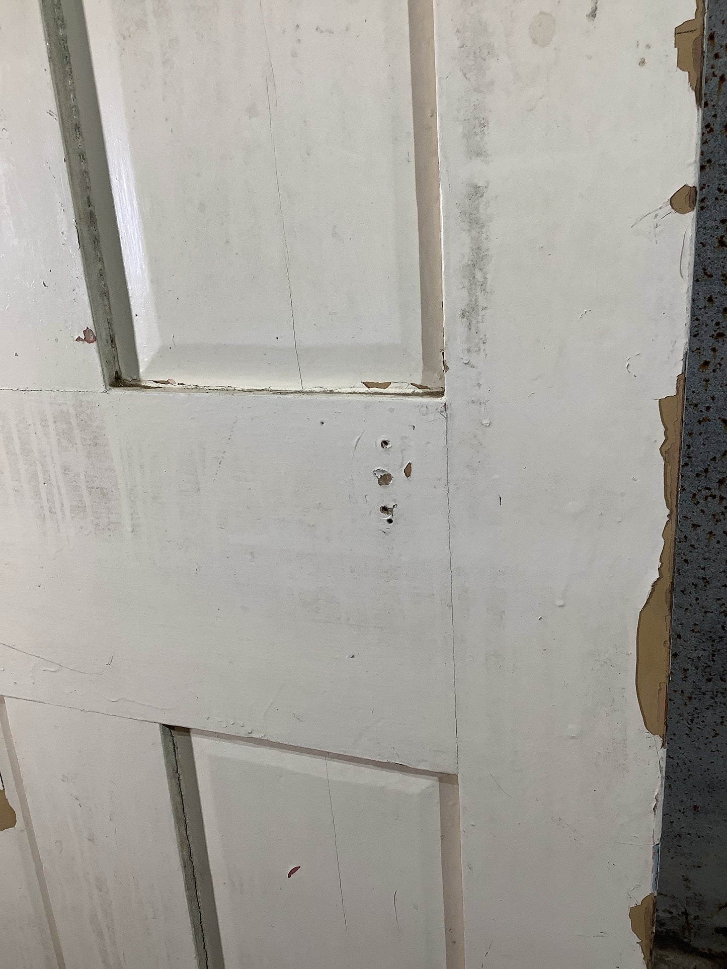 5th Pic Victorian Internal Painted Pine Reclaimed Door