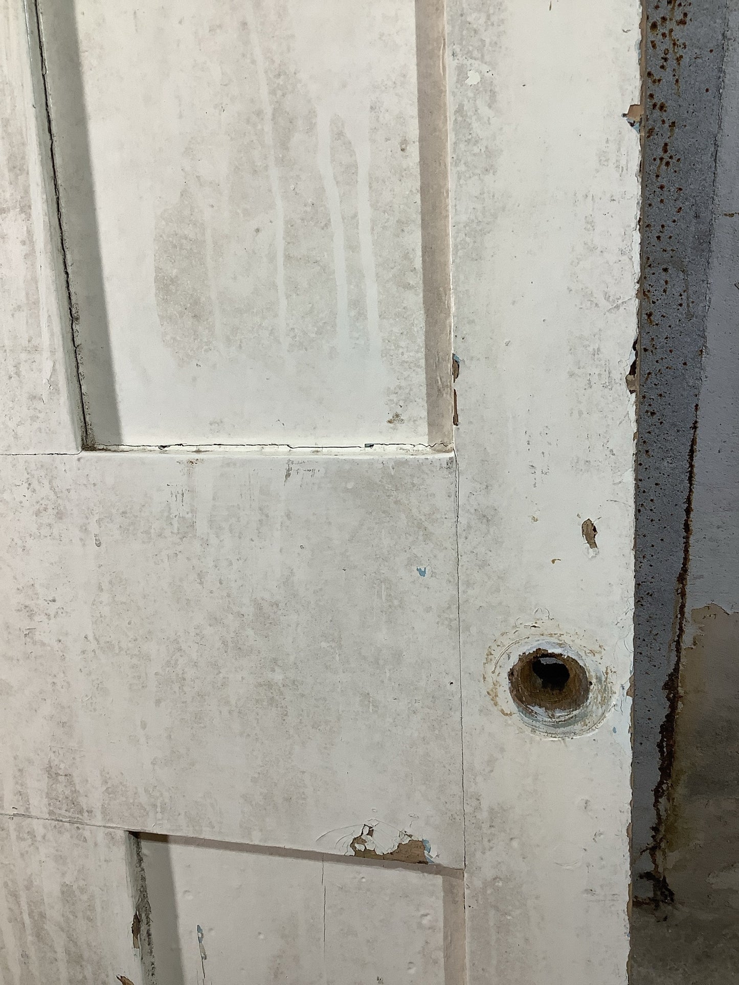 11th Pic Victorian Internal Painted Pine Reclaimed Door