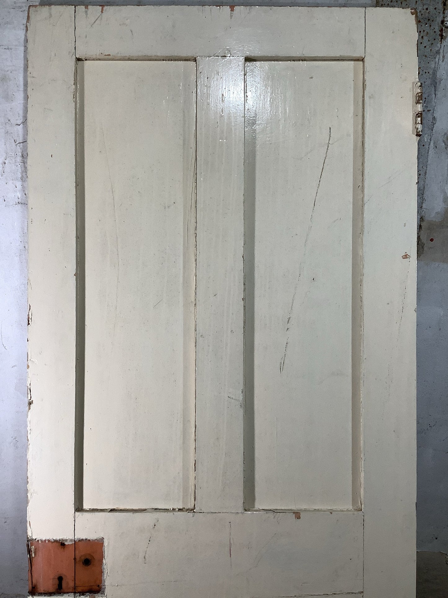 8th Pic Victorian Internal Painted Pine Reclaimed Door