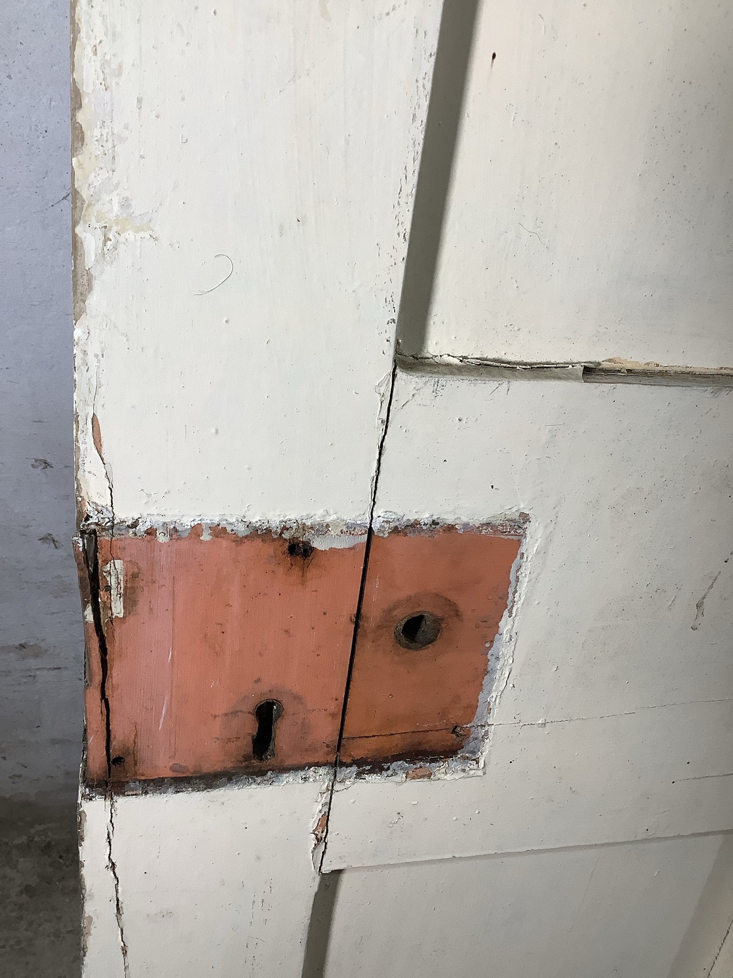 10th Pic Victorian Internal Painted Pine Reclaimed Door