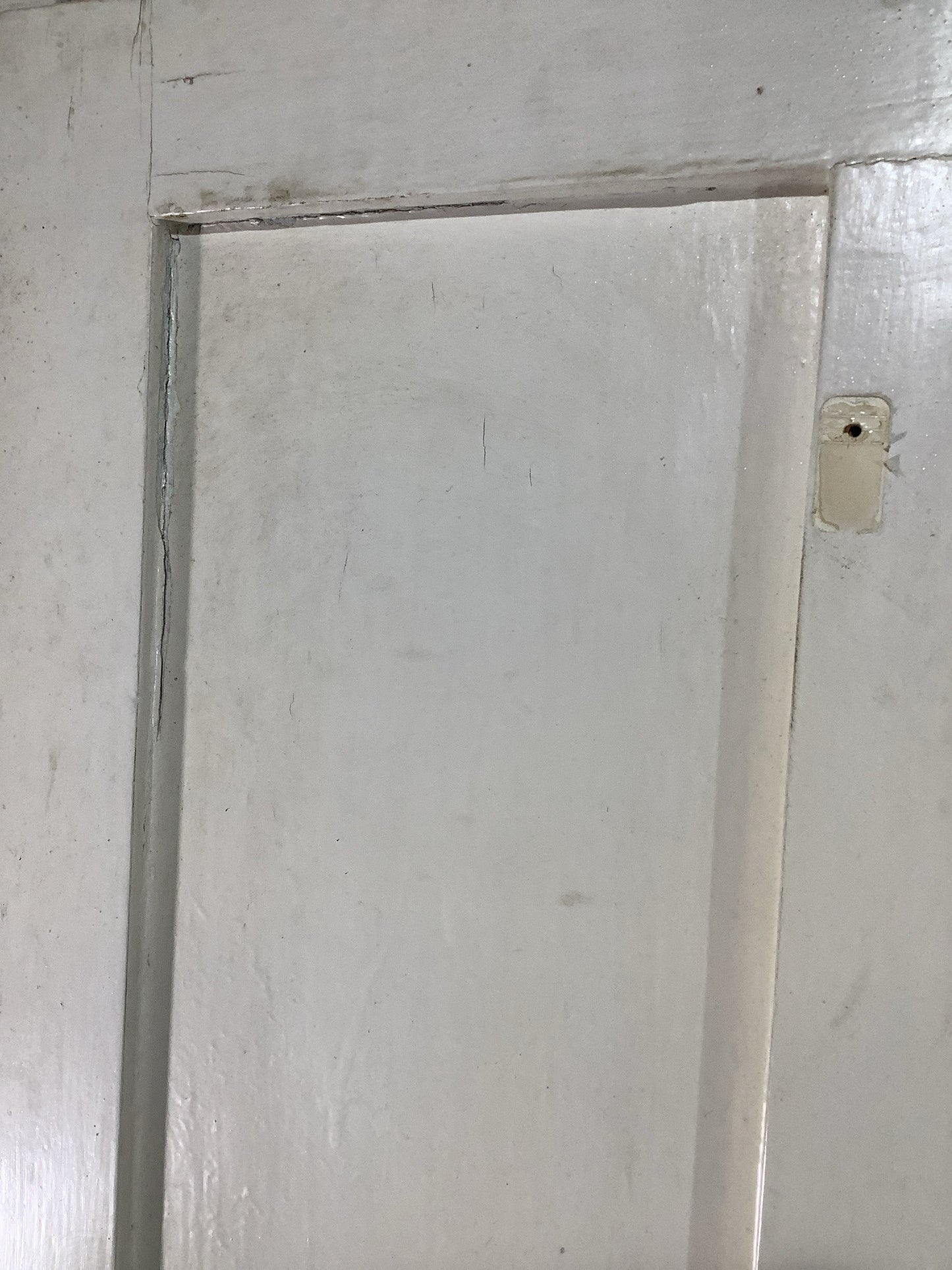 11th Pic Victorian Internal Painted Pine Reclaimed Door