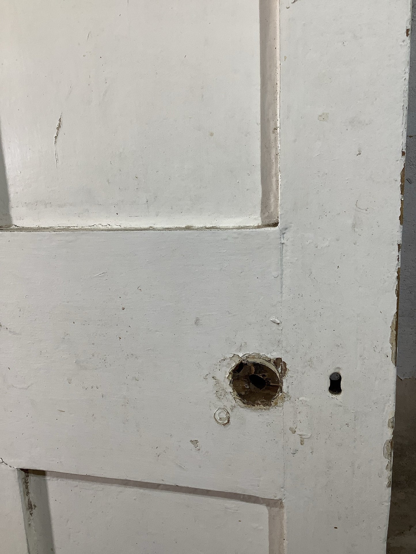 6th Pic Victorian Internal Painted Pine Reclaimed Door