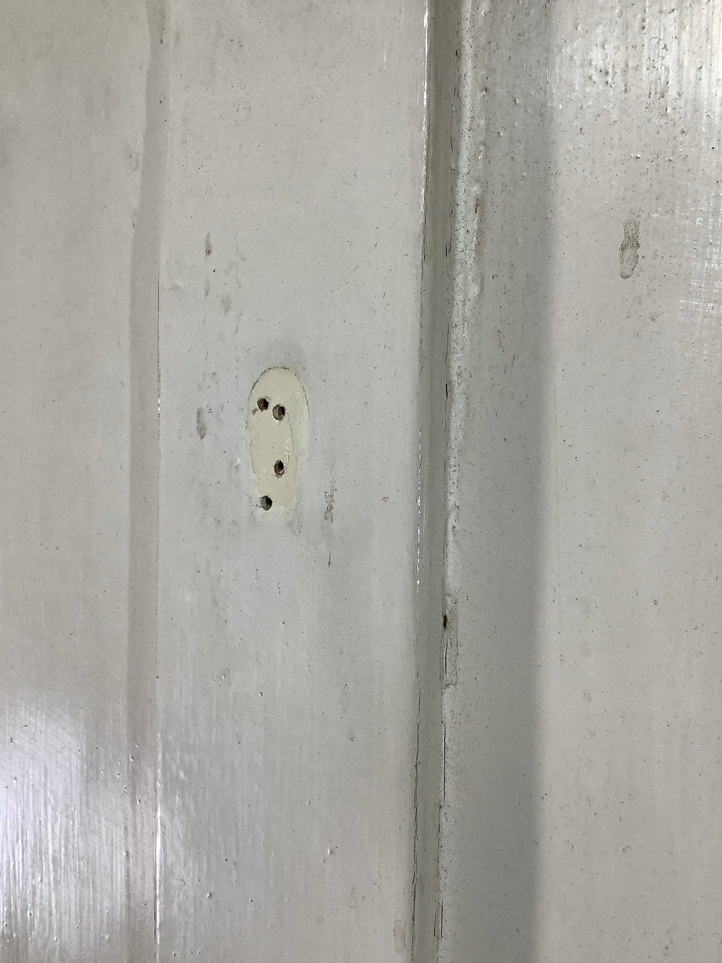 11th Pic Victorian Internal Painted Pine Reclaimed Door