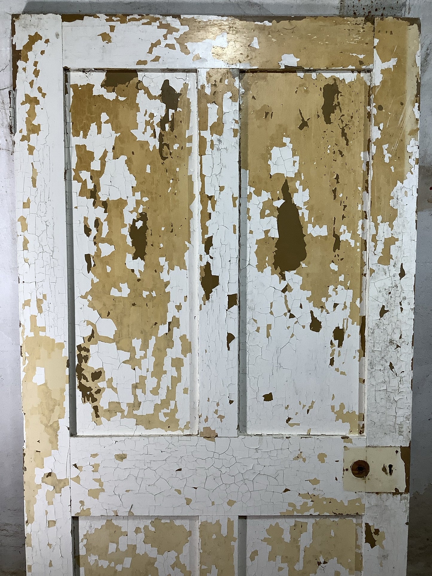 2nd Pic Victorian Internal Painted Pine Reclaimed Door