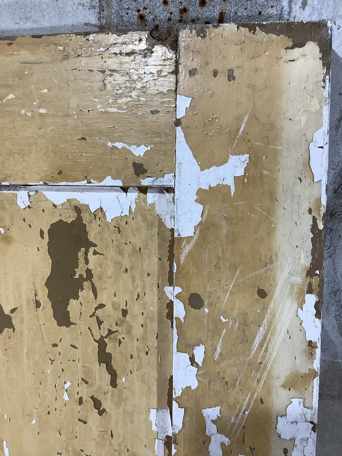 5th Pic Victorian Internal Painted Pine Reclaimed Door
