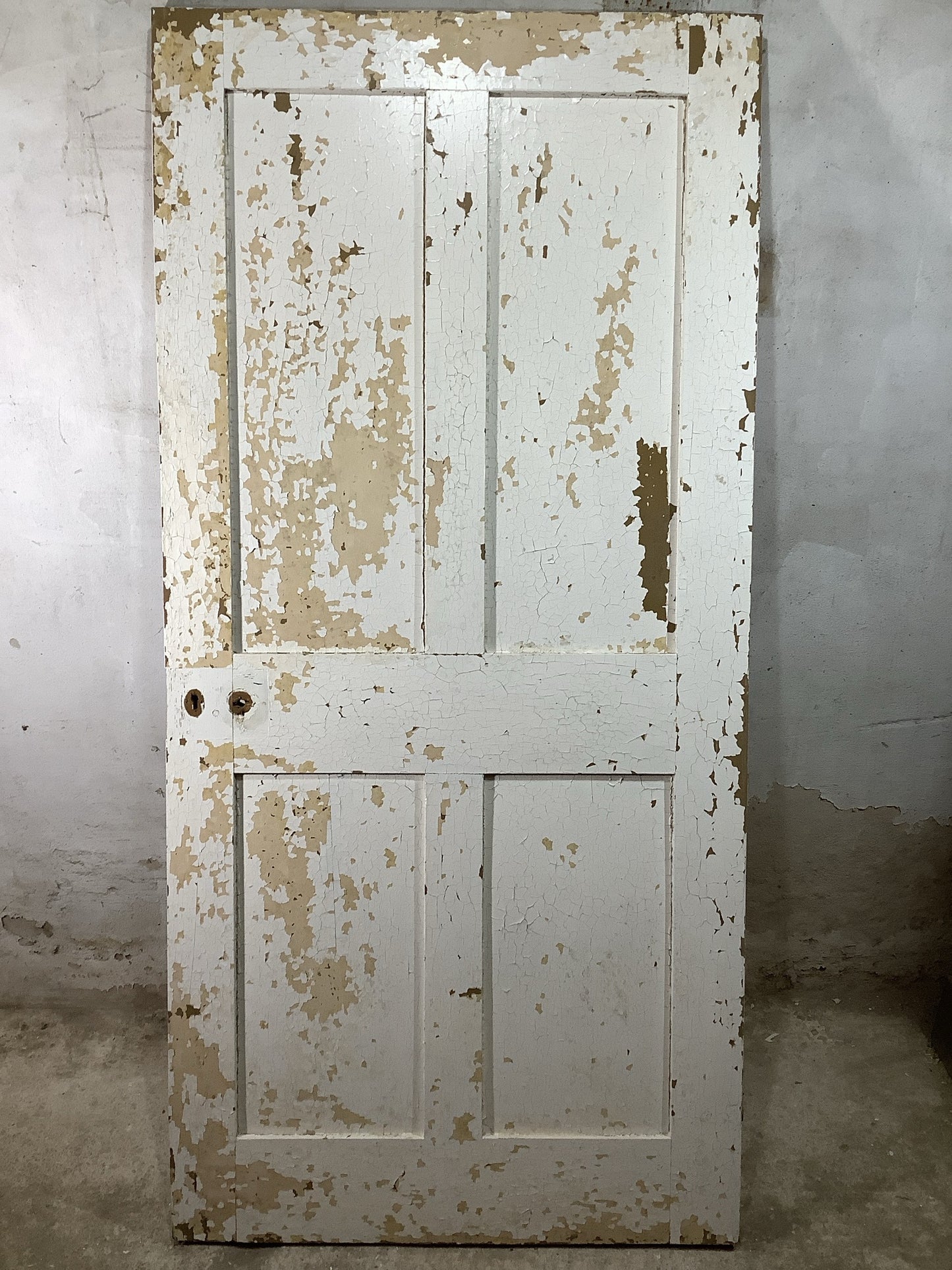 7th Pic Victorian Internal Painted Pine Reclaimed Door