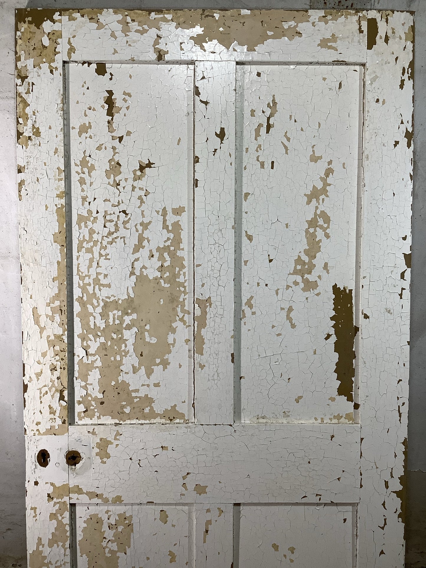8th Pic Victorian Internal Painted Pine Reclaimed Door