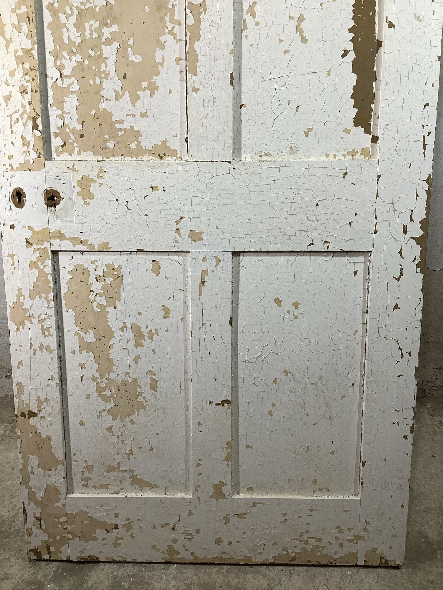 9th Pic Victorian Internal Painted Pine Reclaimed Door