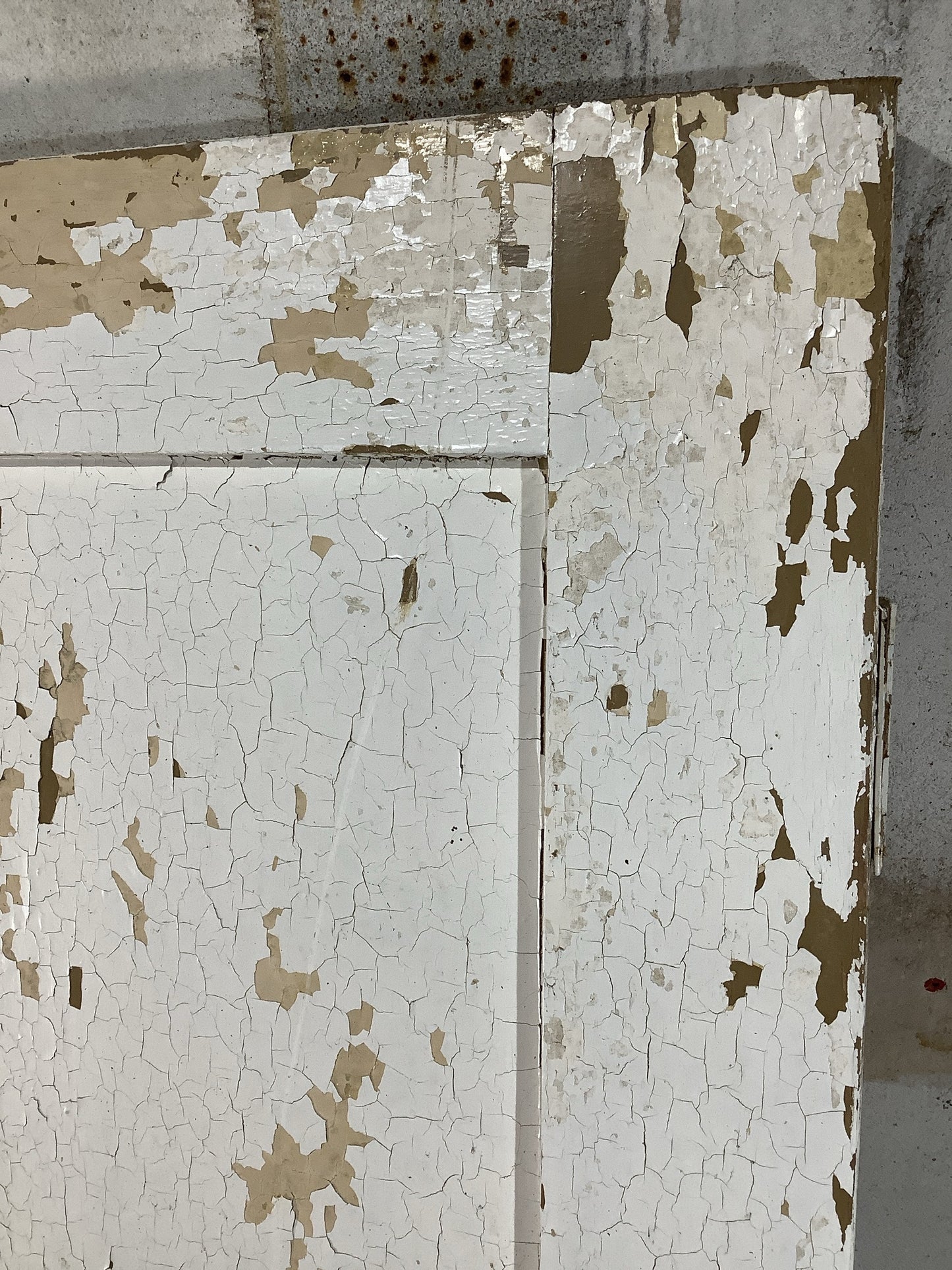 12th Pic Victorian Internal Painted Pine Reclaimed Door