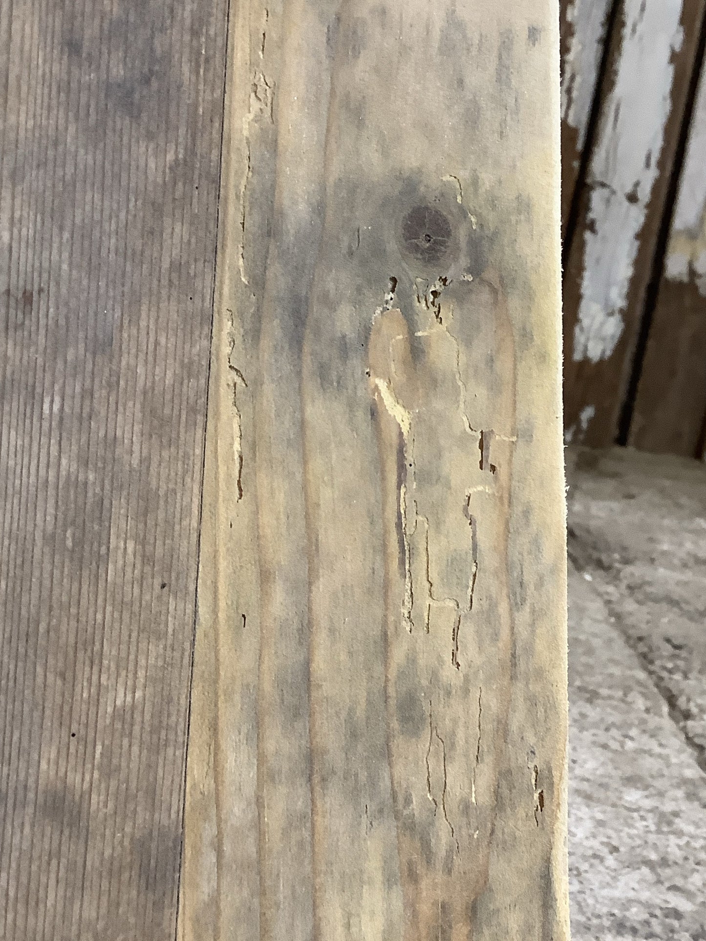 Woodworm damage which has been treated