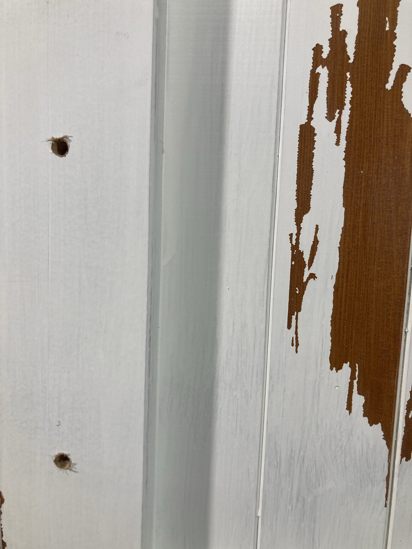 12th Pic Old Internal Painted Pine Reclaimed Door
