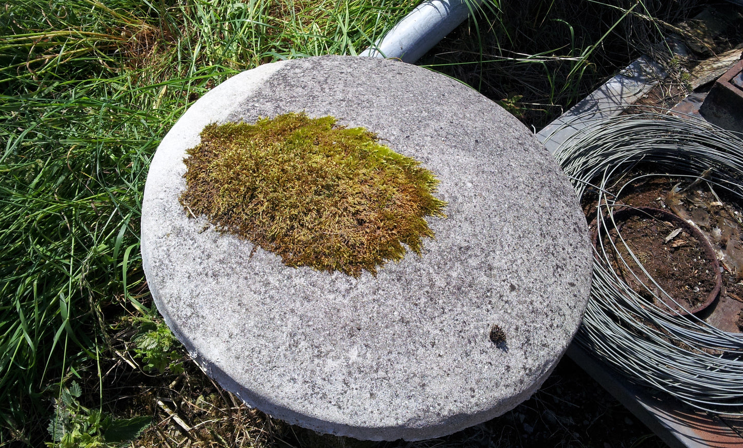 Reclaimed Weathered Reconstituted Stone Staddle Stone Mushroom 21ins