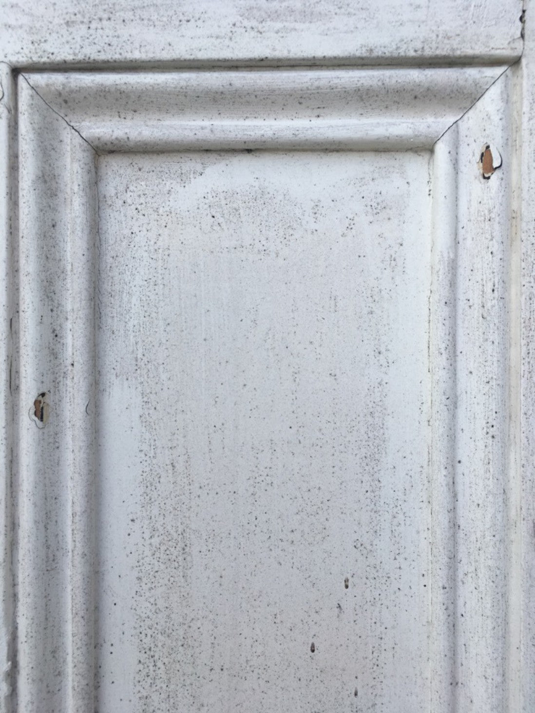 29“x73” Reclaimed Old Victorian Beaded 4 Panel Painted Pine Door