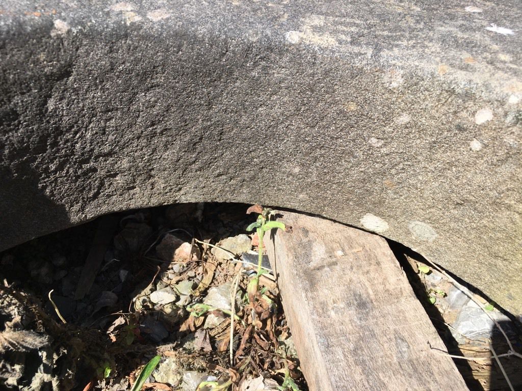 Reclaimed Very Old Green Pennant Stone Water Well Top Cover