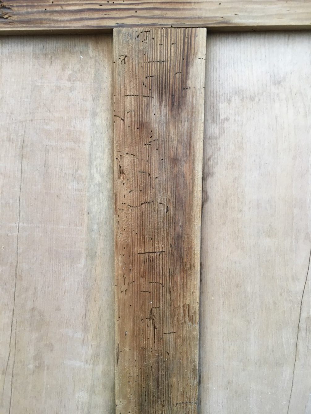 34 5/8x71 5/8” Victorian Stripped Pine 4 Panel 2 Over 2 Short Wide Internal Door