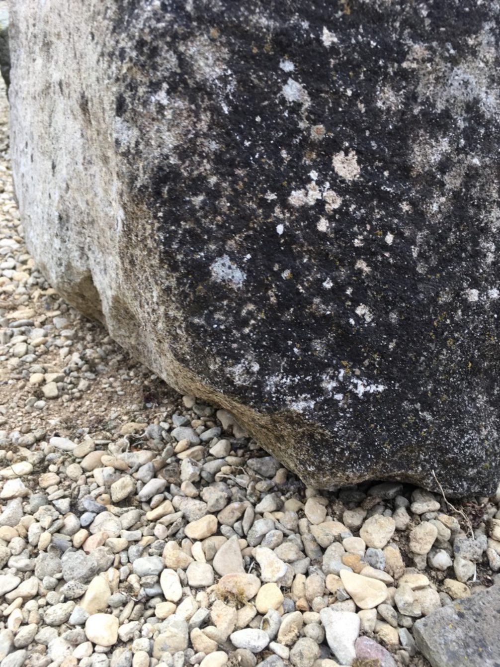 Antique Large Old Staddle Stone Mushroom Cotswold Base 74cm High