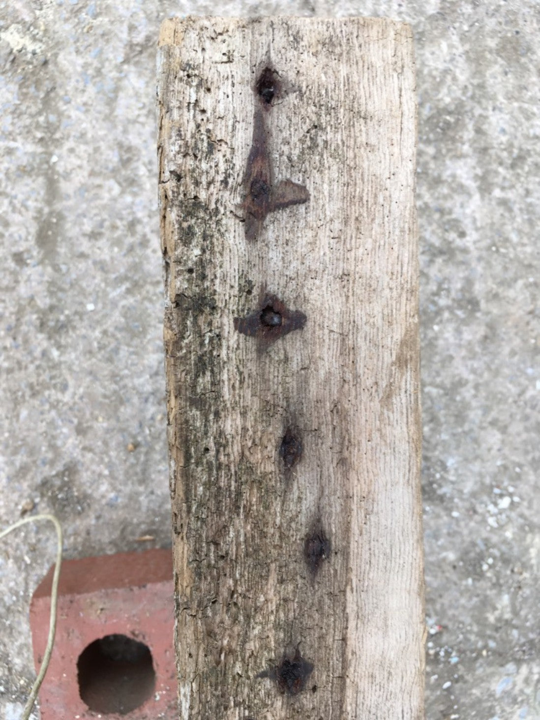 53 7/8inch Or 137cm Long Reclaimed Old Pine Shelf Timber Beam