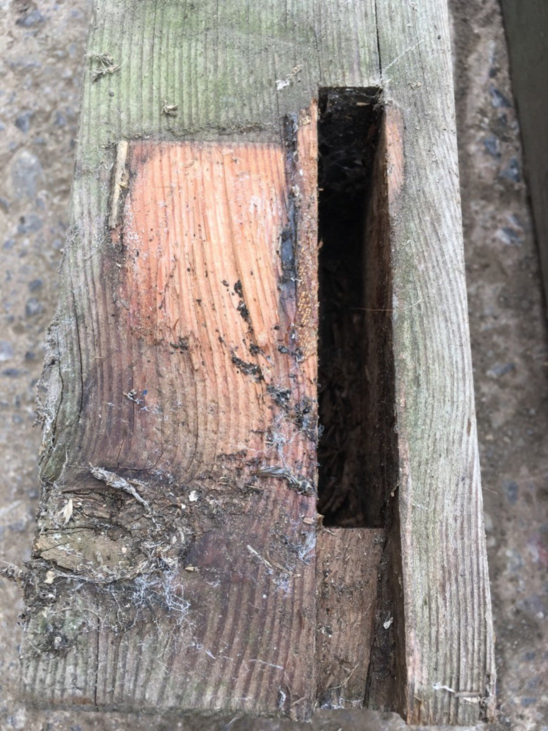 Salvaged Old Pitch Pine Table Base In Parts For 6’6” X 3’3” Top