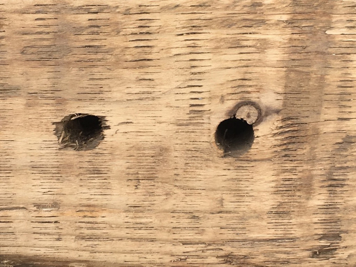 3ft 10 3/8" Or 1.18m Long Old Salvaged Solid Pine Beam