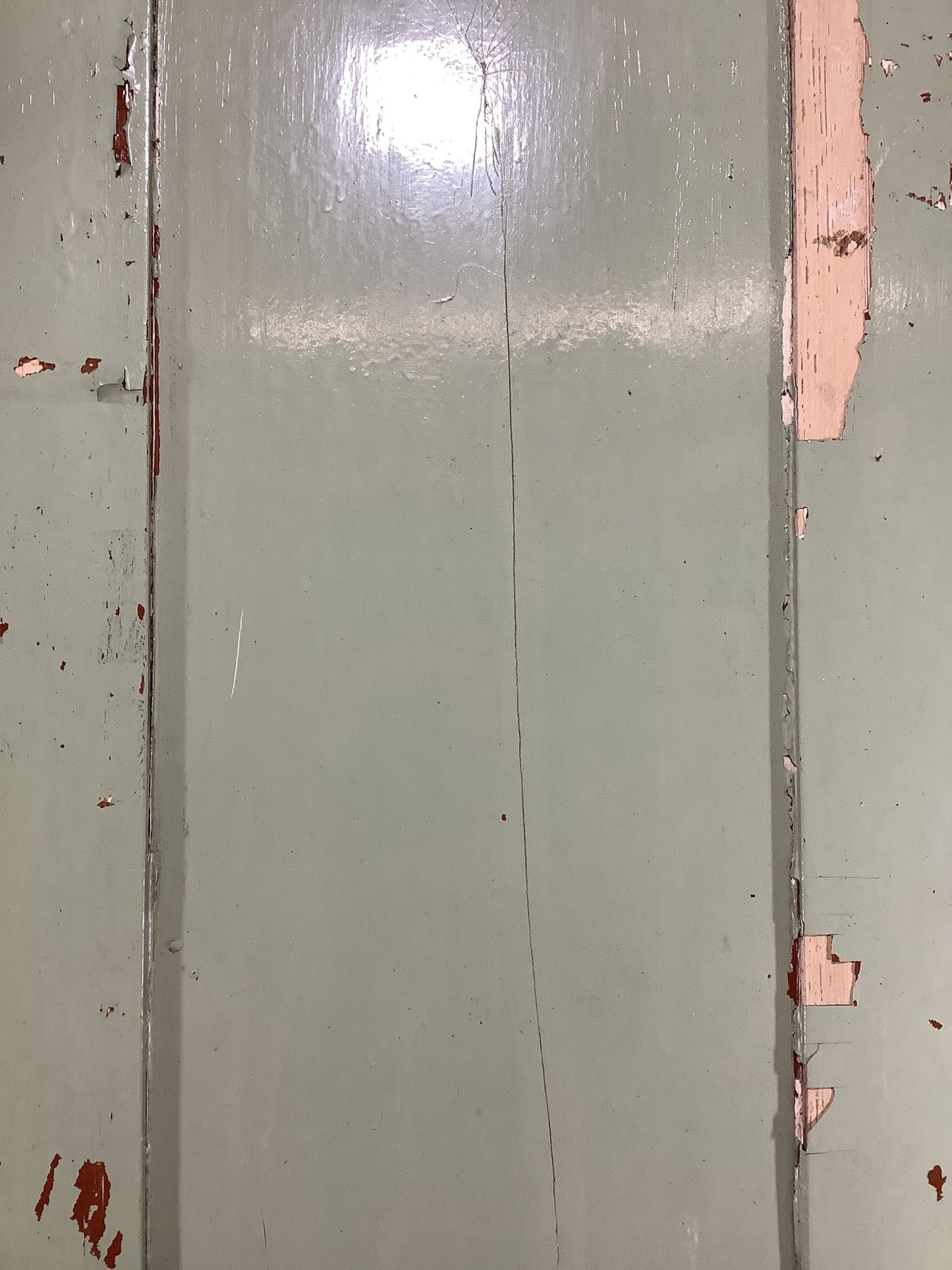 5th Pic Victorian Internal Painted Pine Reclaimed Door