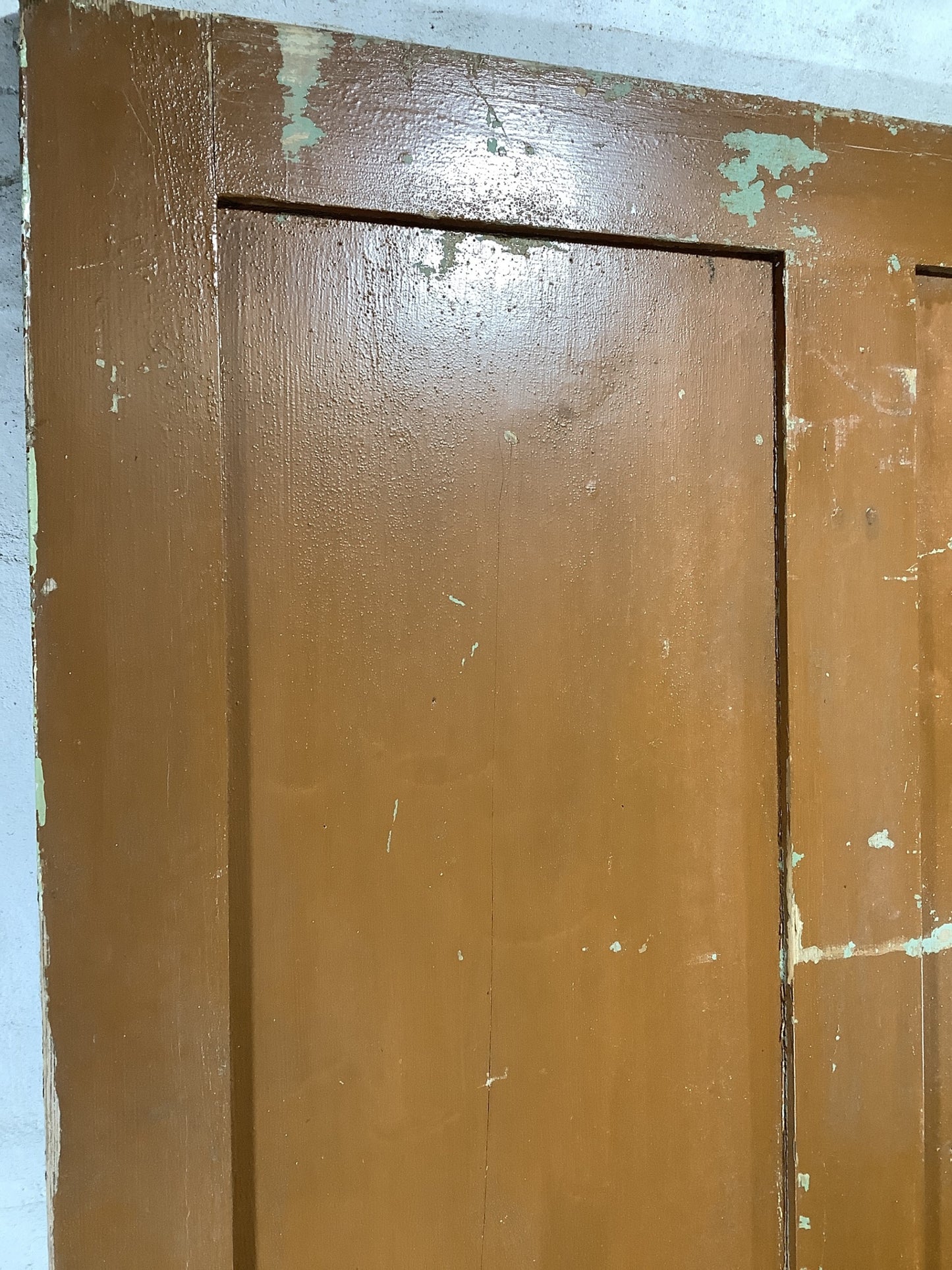 10th Pic Victorian Internal Painted Pine Reclaimed Door