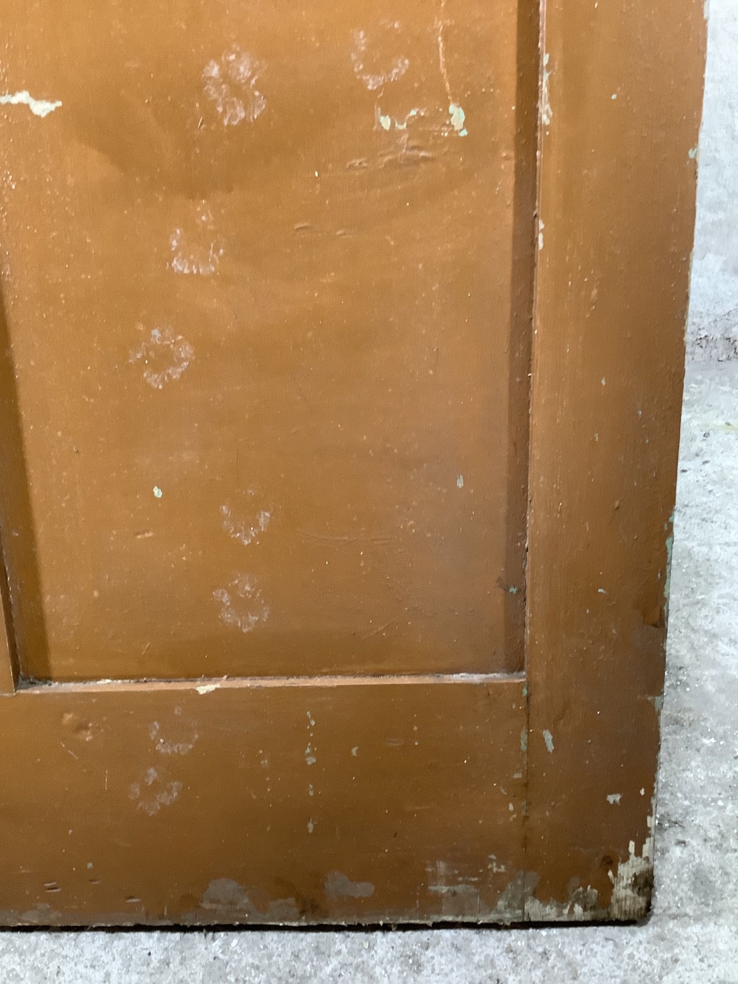 12th Pic Victorian Internal Painted Pine Reclaimed Door