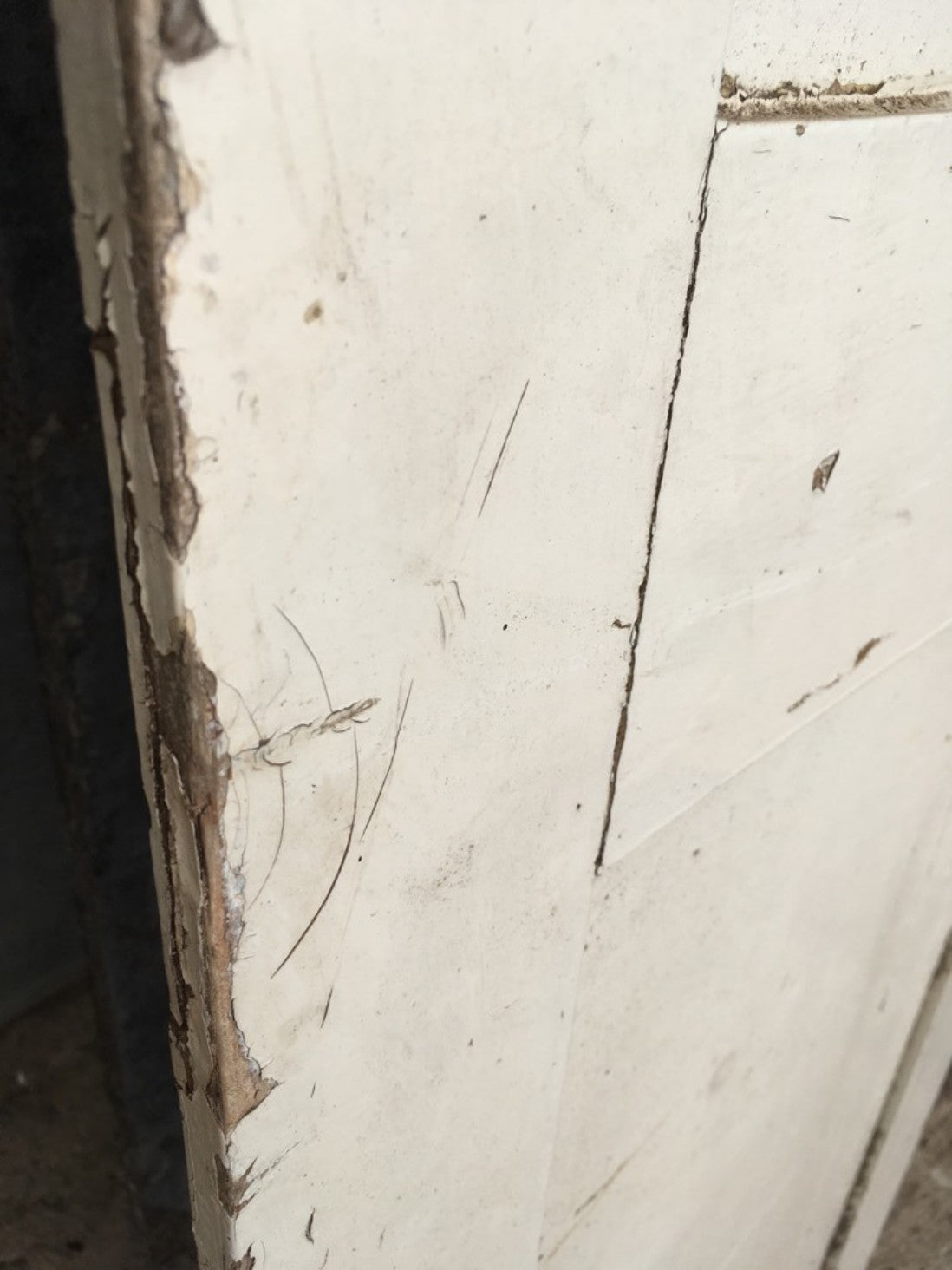 19 1/4”x71 5/8” Reclaimed Old Painted Pine Two Panel 1over1 Short Internal Door