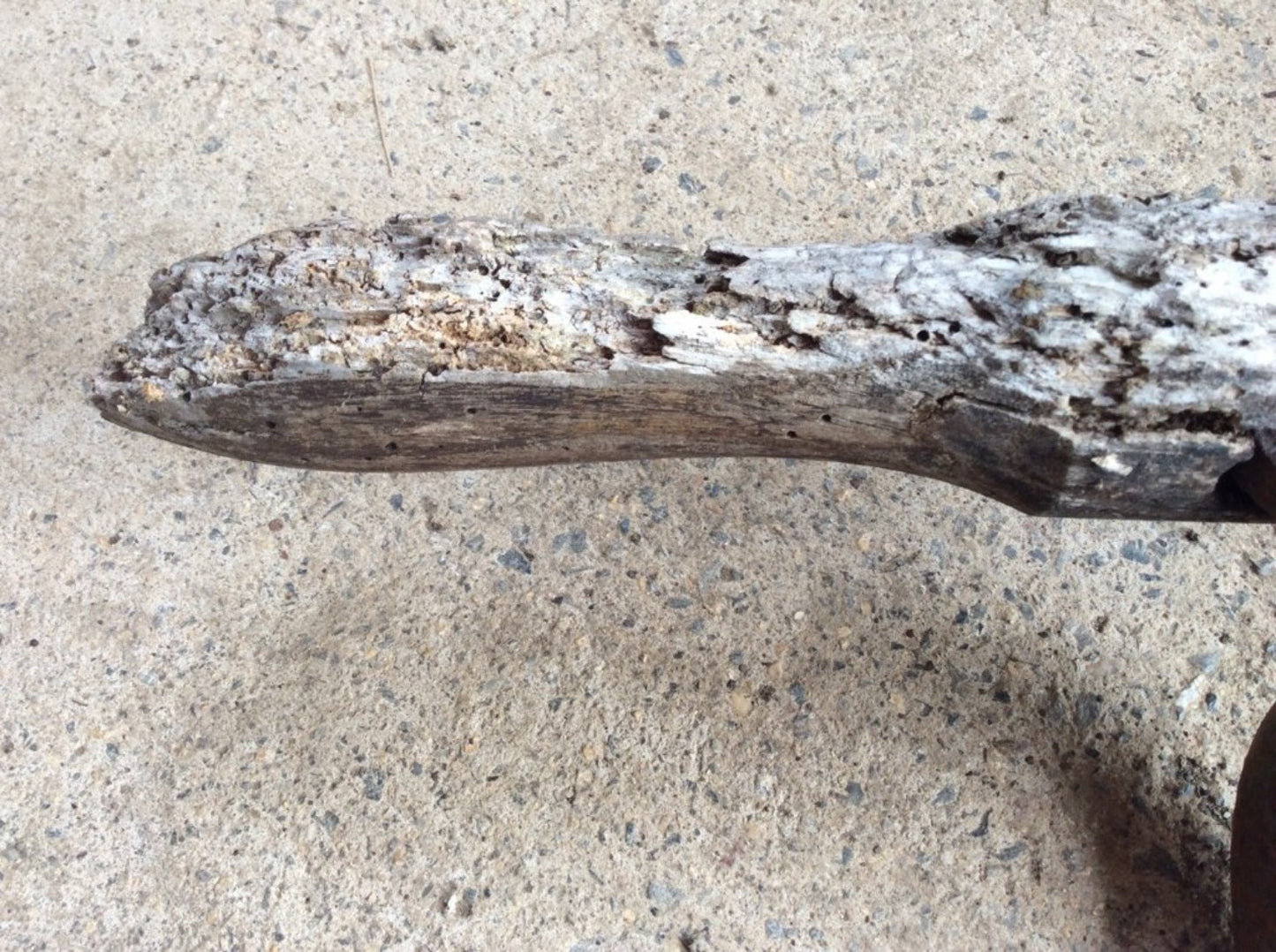 30 3/4” Long Vintage Old Wrought Iron Hay Cutting Knife Blade Tool