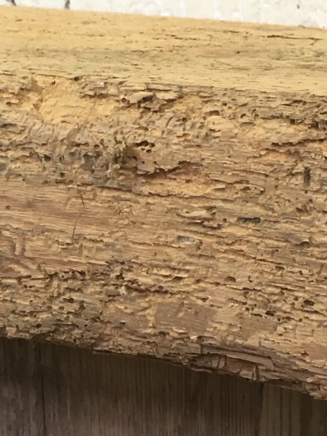 2ft Or 61cm By 6 7/8” By 2 7/8” Old Reclaimed Rustic Pine Mantel Shelf Wormy