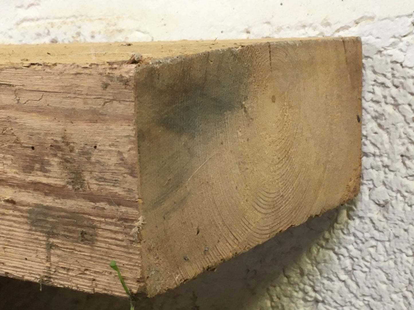 2ft Or 61cm By 6 7/8” By 2 7/8” Old Reclaimed Rustic Pine Mantel Shelf Wormy