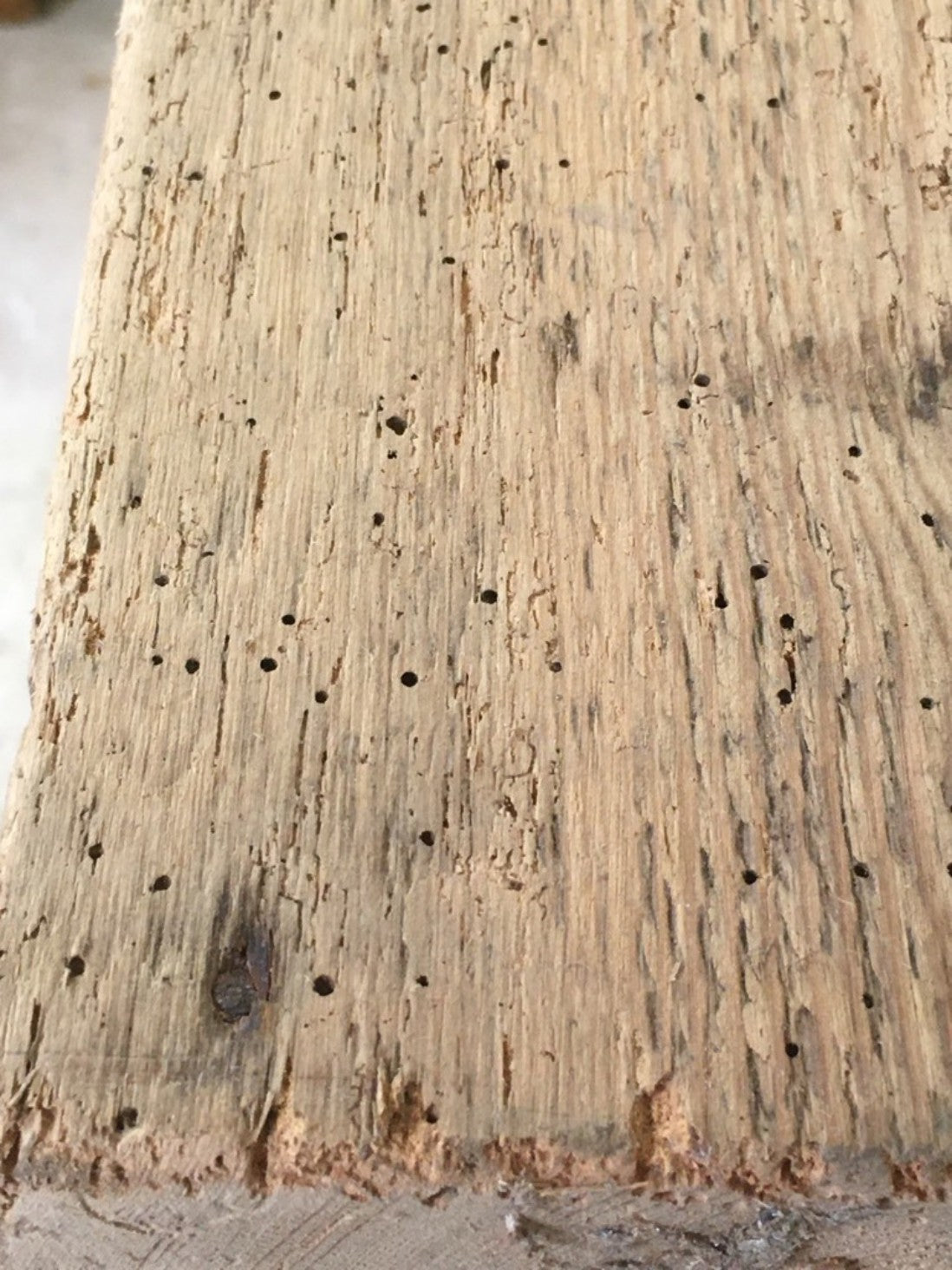 2ft Or 61cm Long By 7” Old Reclaimed Rustic Pine Mantle Shelf Wormy Shelf