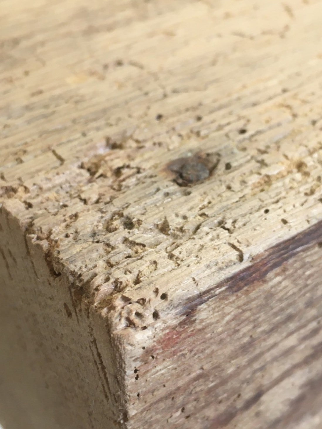 2ft Or 61cm Long By 7” Old Reclaimed Rustic Pine Mantle Shelf Wormy Shelf