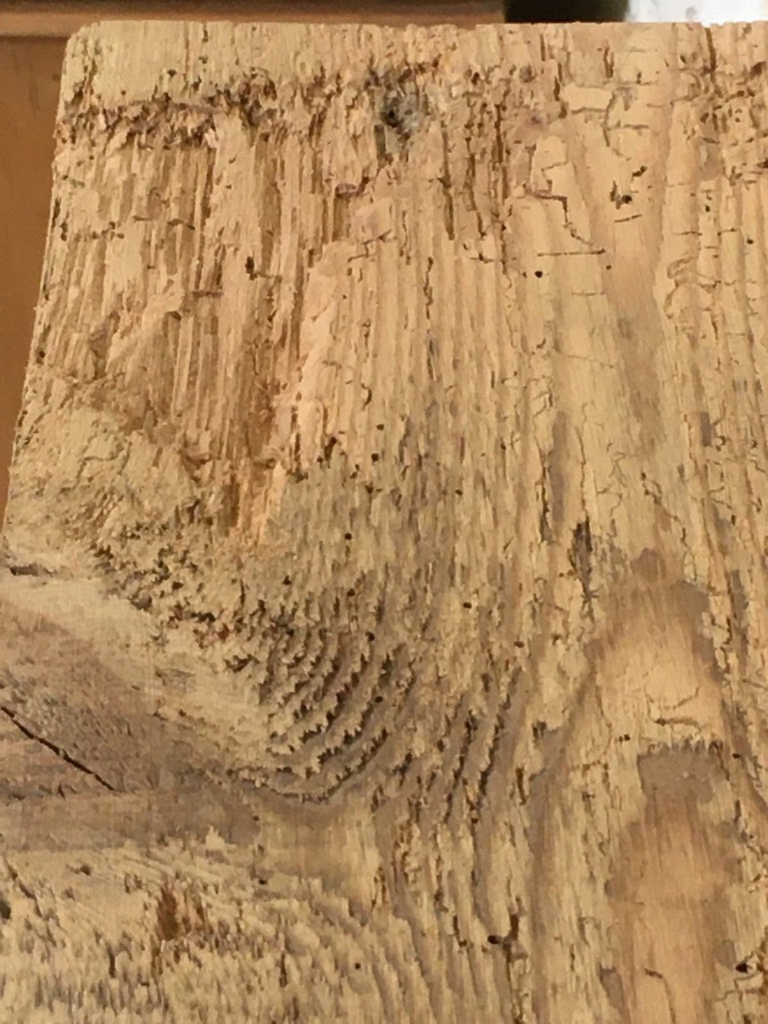 2ft X 6 7/8” X 2 7/8” Length Reclaimed Old Rustic Pine Mantel Shelf Wormy