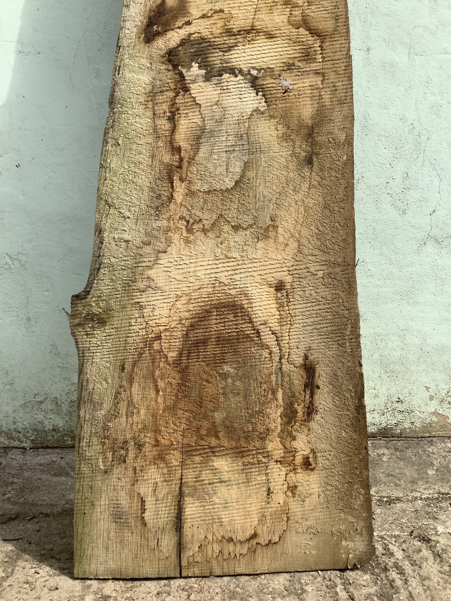 6'6" L Live Waney Edge Rustic Solid Oak Air Dried Hardwood Timber Board